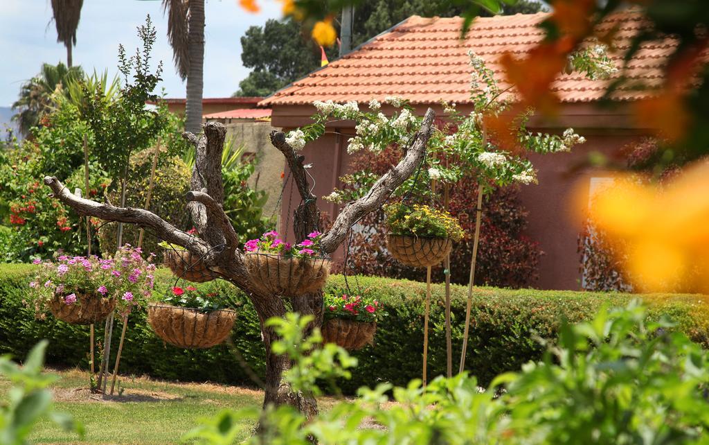 Shaar Hagolan Kibbutz Country Lodging Exterior foto